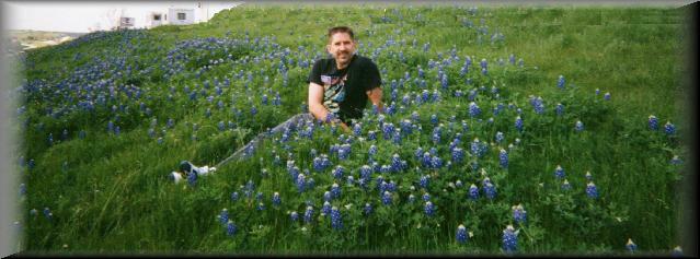 Rex_in_bluebonnets
