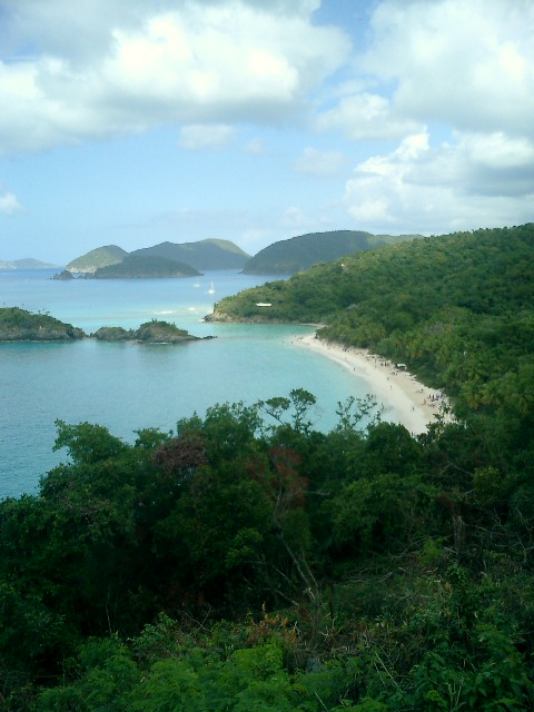 Another similar picture. Click to display the image.