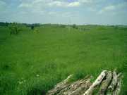 Sue's land. Click to display the image.