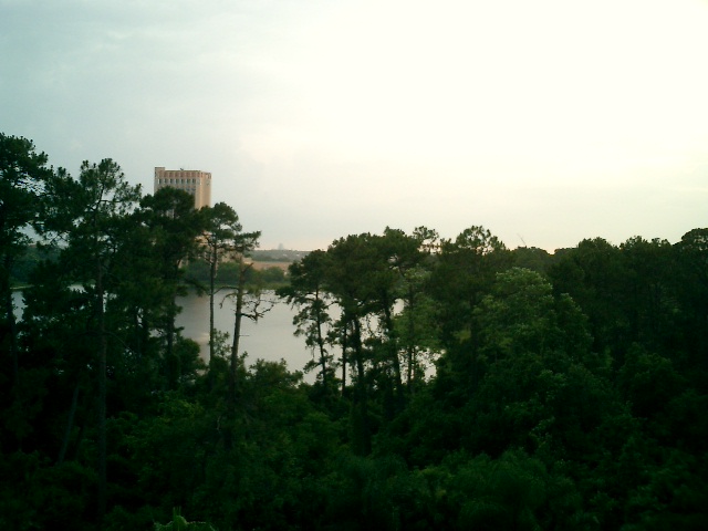 trees, lake, and tall building.