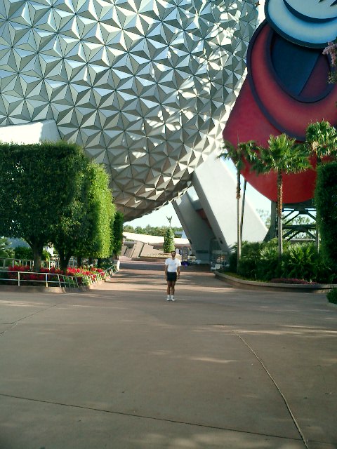 rex on an empty street