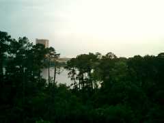 trees, lake, and tall building. Click to display the image.