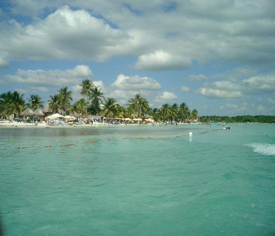 A view from where we snorkled.