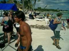 Many pretty sights along the beach. Click to display the image.