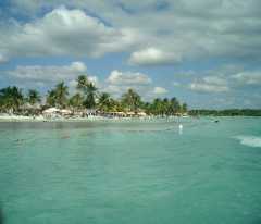 A view from where we snorkled. Click to display the image.